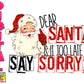 Dear Santa, is it too late to say sorry