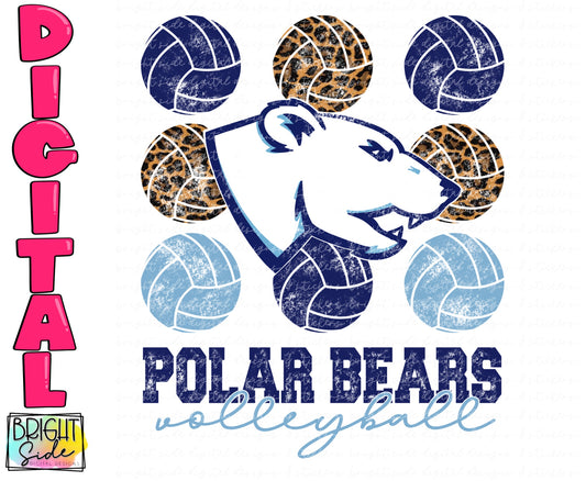 Polar Bears Volleyball