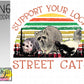 Support your local street cats