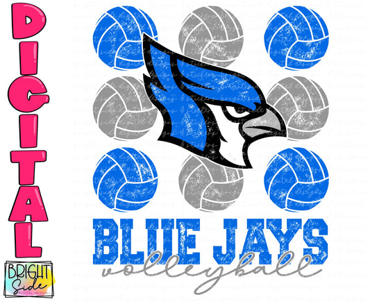 Blue Jays Volleyball