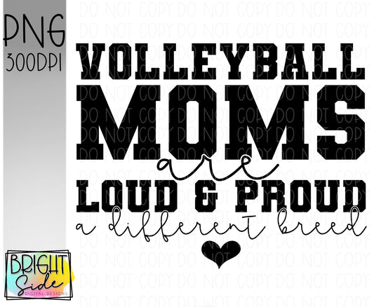 Volleyball moms -a different breed